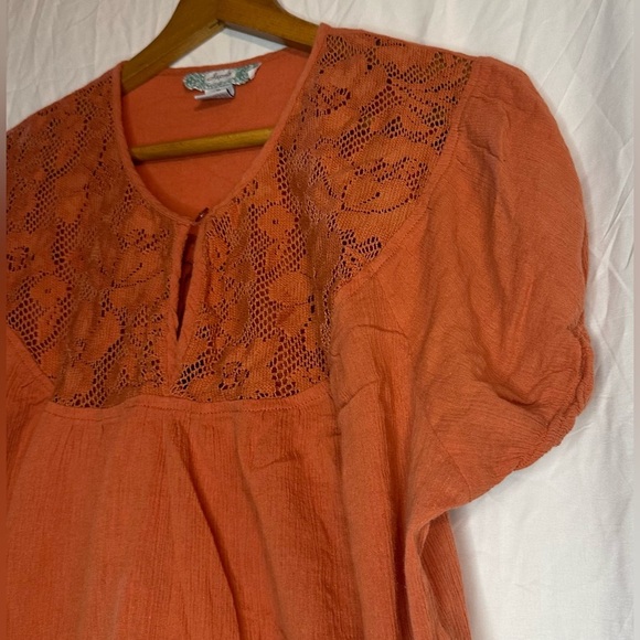 Japna Terracotta Embroidered Blouse - Picture 3 of 8